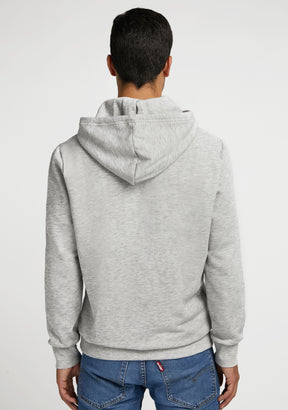 Hoodie Rainbow Grey